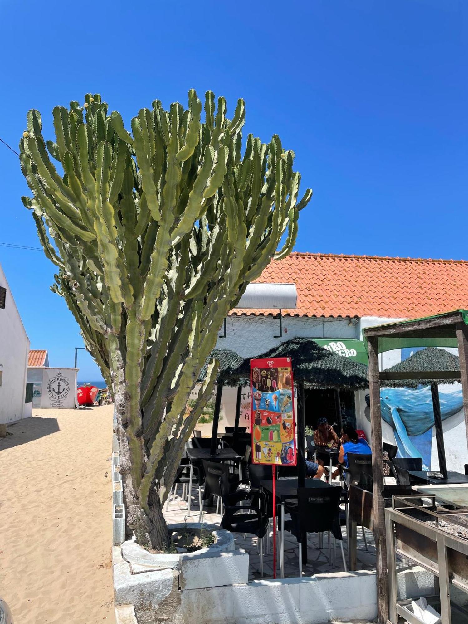 Sea View & Sundown, 150M From The Beach And Surf Spots Costa da Caparica Exterior foto